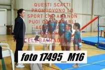 17495_M16-