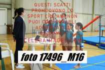 17496_M16-