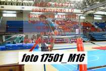 17501_M16-