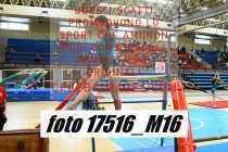 17516_M16-