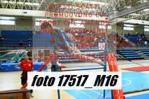 17517_M16-