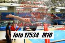 17534_M16-
