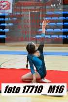 17710_M16-