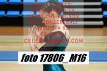 17806_M16-