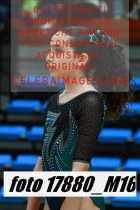 17880_M16-