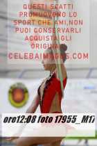 17955_M17-