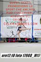 17988_M17-