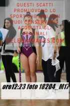 18204_M17-