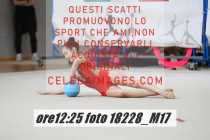 18228_M17-