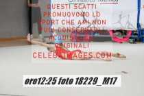 18229_M17-