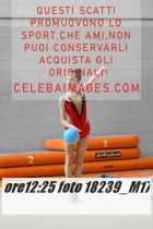 18239_M17-