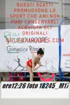 18245_M17-