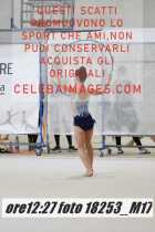 18253_M17-