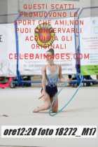 18272_M17-