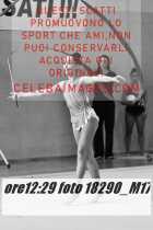 18290_M17-