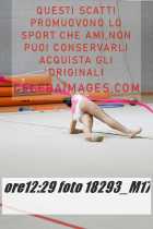18293_M17-