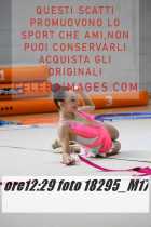 18295_M17-