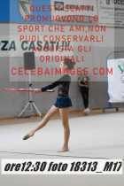 18313_M17-
