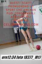 18377_M17-