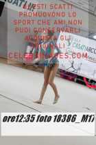 18386_M17-
