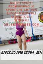 18394_M17-
