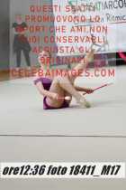 18411_M17-