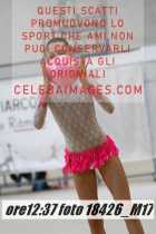 18426_M17-