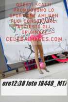 18448_M17-