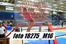 18275_M16-