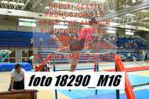 18290_M16-