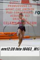 18463_M17-