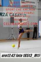 18513_M17-