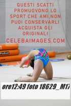 18629_M17-