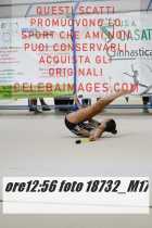18732_M17-