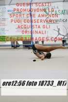 18733_M17-