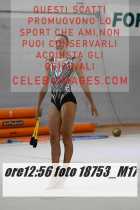 18753_M17-