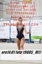 19005_M17-