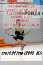19045_M17-