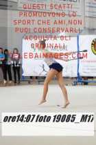 19085_M17-