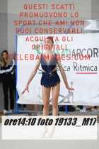 19133_M17-