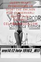 19163_M17-