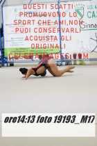 19193_M17-