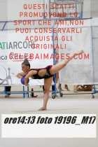 19196_M17-