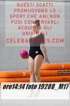 19208_M17-