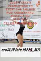 19229_M17-