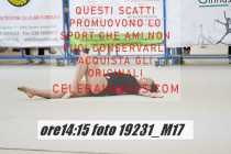 19231_M17-