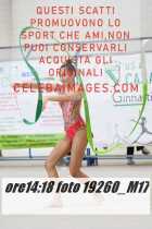 19260_M17-
