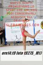 19275_M17-
