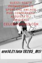 19295_M17-