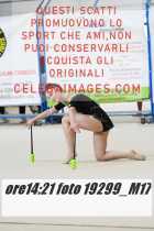 19299_M17-